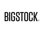 Bigstock Photo Review